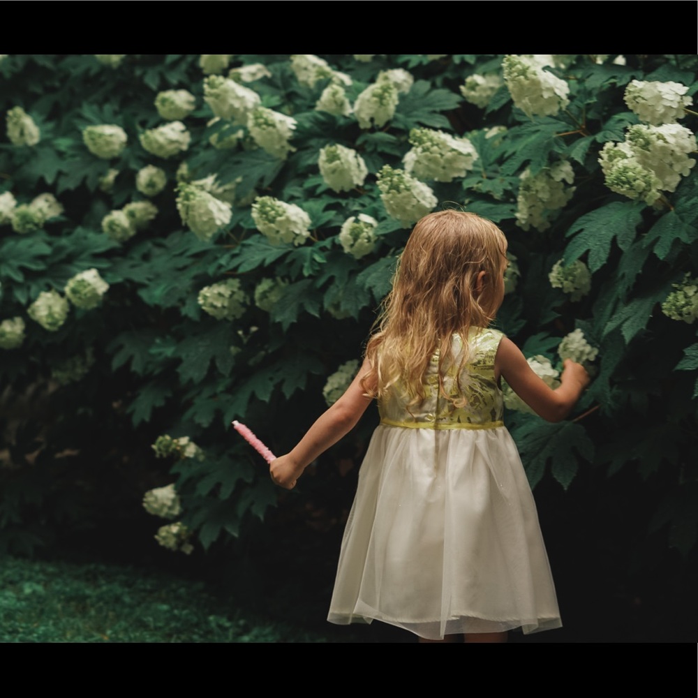 Toddler dress w/ matching coat